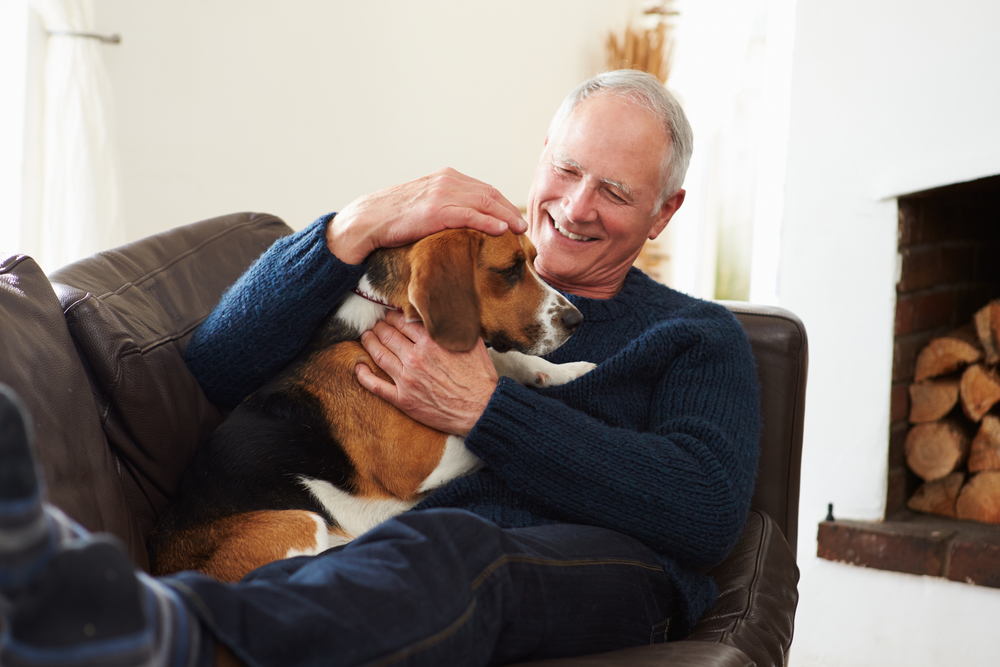 A man with a pet dog on couch enjoying assisted living help for seniors