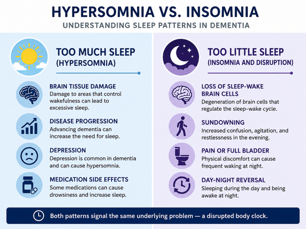 hypersomnia-vs-insomnia-dementia-comparison